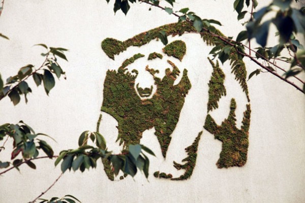 grafiti5