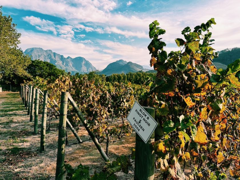 
Keliautojas Orijus Gasanovas pataria, kaip suplanuoti nepamirštamą kelionę bei geriau pažinti vietinę kultūrą                