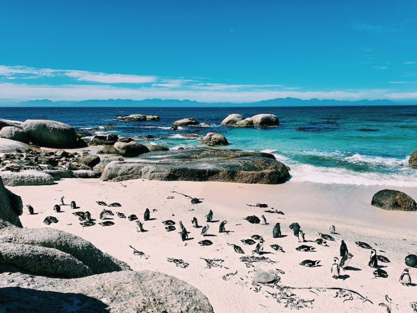 
Keliautojas Orijus Gasanovas pataria, kaip suplanuoti nepamirštamą kelionę bei geriau pažinti vietinę kultūrą                