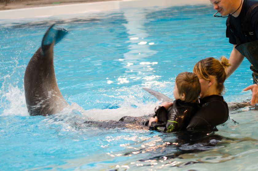 
Artėjant Tarptautinei ledų dienai apžvelgė, kuo vasarą gaivinasi pirkėjai: primena apie jautrią iniciatyvą                