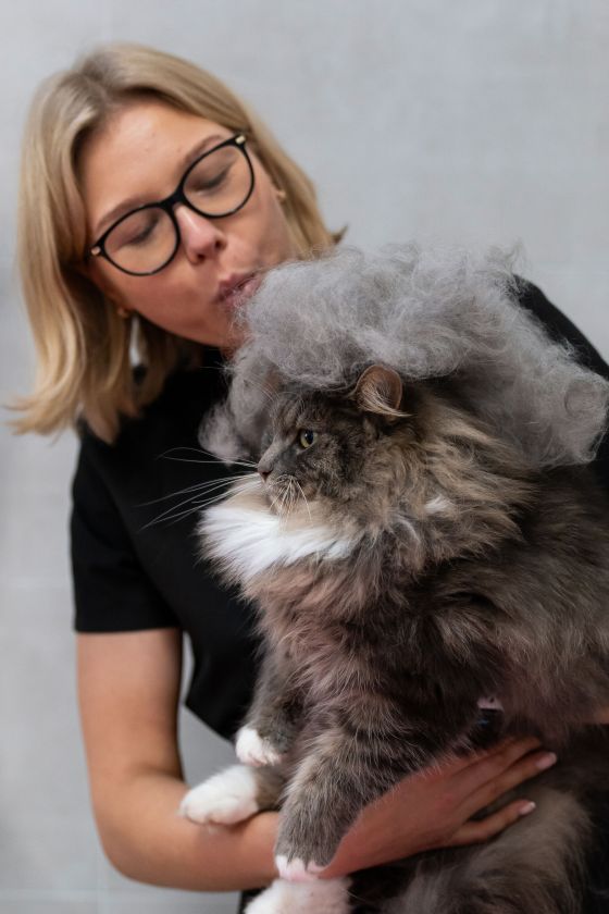 Katės kailio priežiūra: gyvūnų kirpėja pataria, kaip tinkamai jį šukuoti ir kokias priemones naudoti (video)