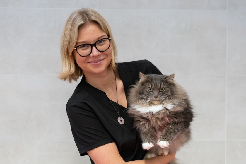 Katės kailio priežiūra: gyvūnų kirpėja pataria, kaip tinkamai jį šukuoti ir kokias priemones naudoti (video)