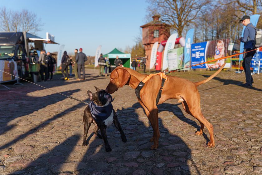Vaistas nuo kasdieninio streso – vaikščiojimas gamtoje ir žygiai