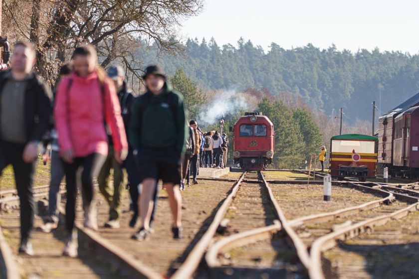 Vaistas nuo kasdieninio streso – vaikščiojimas gamtoje ir žygiai