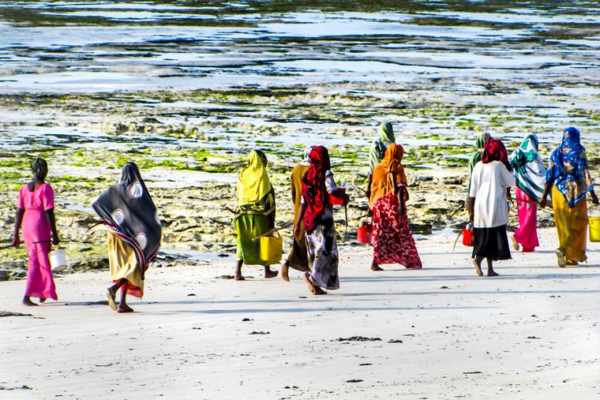 Atraskite Zanzibarą – kvapų, skonių ir gamtos įvairovės salą