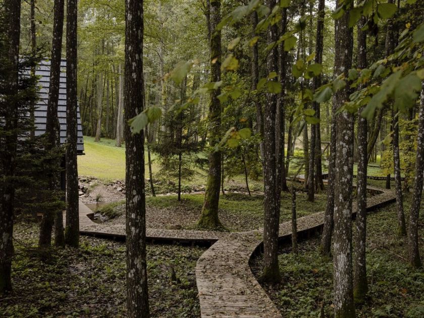 Dzūkijos miško gilumoje – 7,5 mln. investicijos. Duris atveria nauja lėto poilsio, SPA ir išskirtinių maisto patirčių vieta