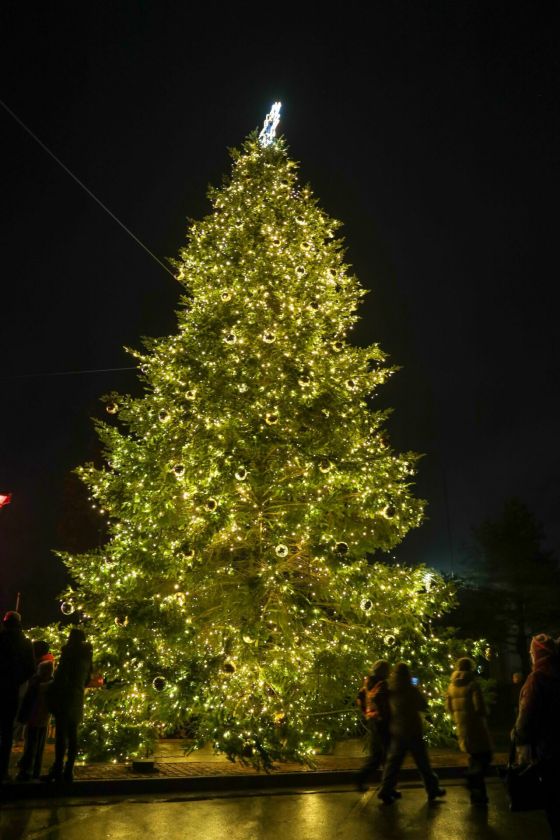 Kalėdų eglė nušvito Kazlų Rūdoje