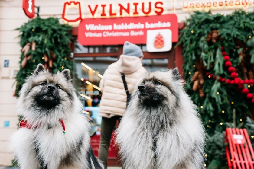 Nuo „BBC“ iki „National Geographic“: kalėdinis Vilnius nuskambėjo tarp ryškiausių šventinių krypčių Europoje